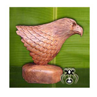 Wooden Eagle Head, Hand Carved From Suar Wood