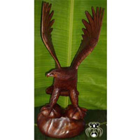 Wooden Playing Eagle, Hand Carved From Suar Wood
