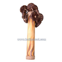 Rattle / Maracas , This Hand Carved From Coconut 