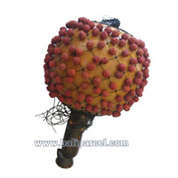 Rattle / Maracas 
