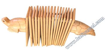 Turtle, Music Instrument 