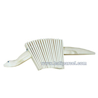 Turtle, Music Instrument 
