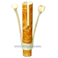 Etek - Etek Bamboo , Music Instrument 