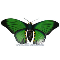 Butterfly Wall Plaque. This  Is Hand Carved From Albesia Wood.