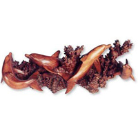 Wooden Four Dholpins Carving, Hand Carved From Suar Wood