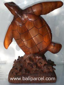 Wooden Turtle Carving, Hand Carved From Suar Wood