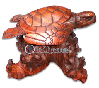 Wooden Turtle Carving, Hand Carved From Suar Wood