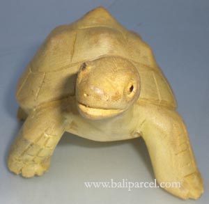 Wooden Turtle Carving, Hand Carved From Crocodile Wood 