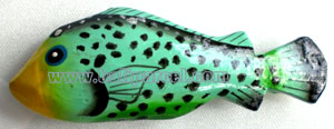 Tropical Fish Magnet Handpainted, From Albesia Wood