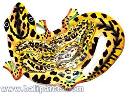 Wooden Painted Gecko Puzzle, And 5 Small Geckos.