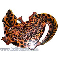 Wooden Painted Gecko Puzzle, And 5 Small Geckos.