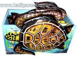 Hand Painted Coaster With Turtle, Set Of 6.