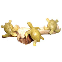 Wooden 3 Turtles, With Parasite Wood
