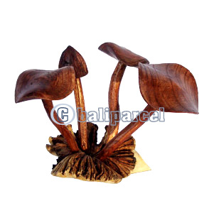 Wooden Mushrooms With Parasite Wood