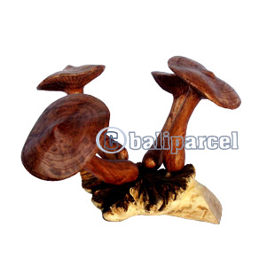 Wooden Mushrooms With Parasite Wood