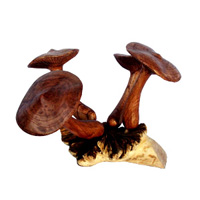 Wooden Mushrooms With Parasite Wood