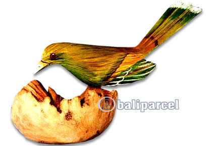 Handpainted Bird, With Parasite Wood