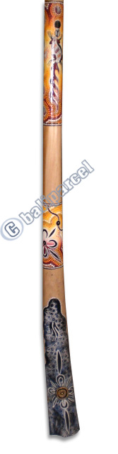 Didgeridoo, Handmade From Teak Wood
