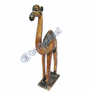 Camel