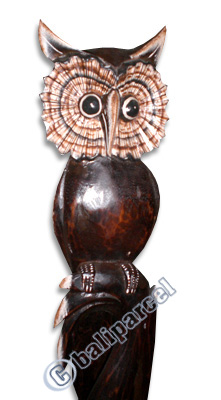 Owl, Handcarved From Albesia Wood.