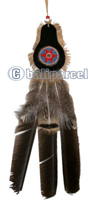 Hair Ornament, Native American Style