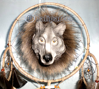 Stand, Native American Style