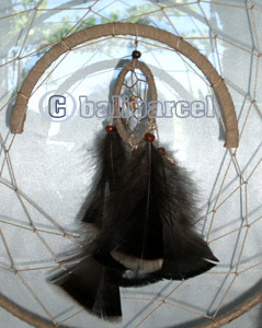 Stand, Native American Style