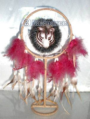 Stand, Native American Style