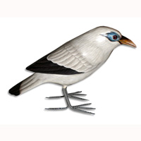 Bird With Handpainted, Hand Carved From Albesia Wood.