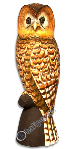 Owl, Handcarved From Albesia Wood.