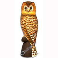 Owl, Handcarved From Albesia Wood.