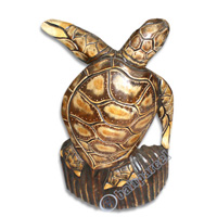 Turtle With Coral, Hand Carved From Albesia Wood
