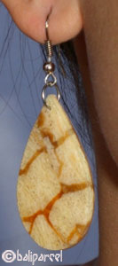 Earring, Synthetic Resin With Sponge