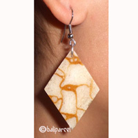 Earring, Synthetic Resin With Sponge