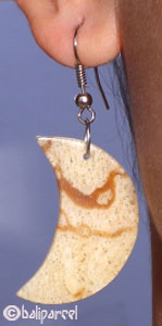 Earring, Synthetic Resin With Sponge