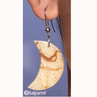Earring, Synthetic Resin With Sponge
