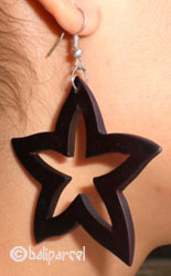 Wooden Earring From Sono Wood 