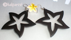 Wooden Earring From Sono Wood 