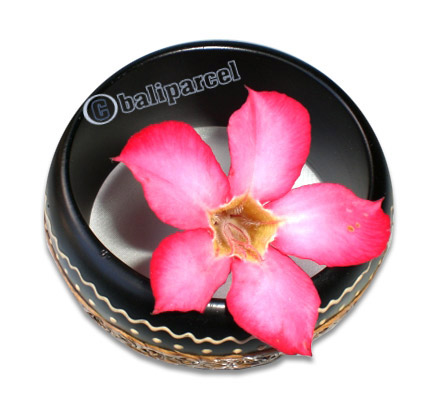 Wooden Bracelet From Sono Wood With Hand Painted.