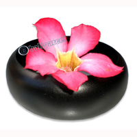 Wooden Bracelet From Sono Wood With Hand Painted.