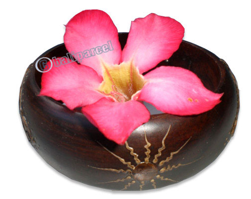 Wooden Bracelet From Sono Wood With Hand Painted.