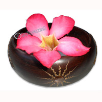 Wooden Bracelet From Sono Wood With Hand Painted.