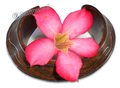 Wooden Bracelet From Sono Wood With Silver.