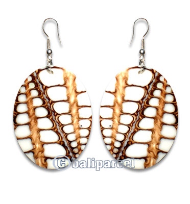Earring, Handmade With Sea Shell