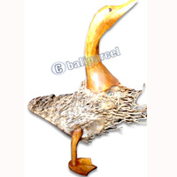 Bamboo Duck,  Handmade From Bamboo Root, Natural