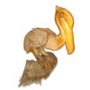 Bamboo Bird, Handmade From Bamboo Root, Natural