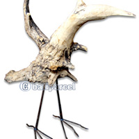 Wooden Bird, Handmade From Teak Wood