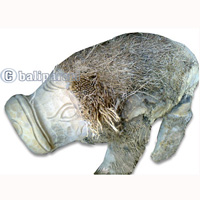 Bamboo Pig, Handmade From Bamboo Root, Natural