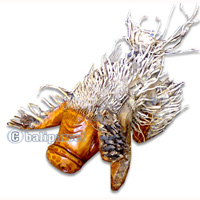 Bamboo Pig, Handmade From Bamboo Root, Natural