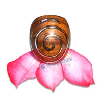 Wooden Ring, Handmade From Sono Wood With Silver.